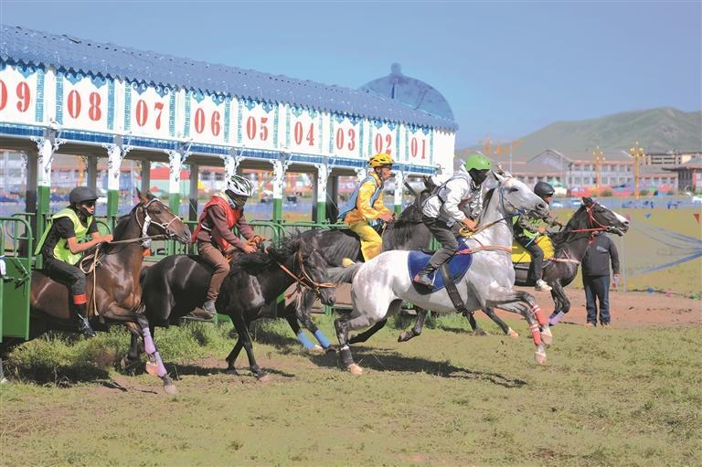 骏马飞驰，赛道争桂冠 藏棋对决，方寸见锋芒